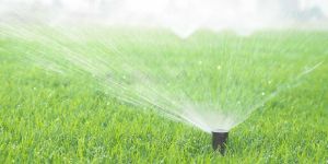 Irrigation System Installation Service