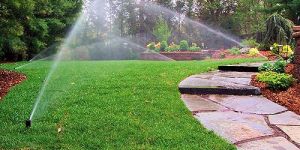 Irrigation System Maintenance Service