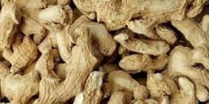 Dried Ginger
