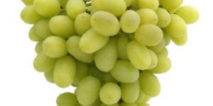 Fresh Green Grapes