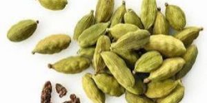 Green Cardamom