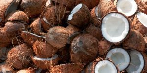 Brown Coconut