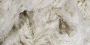 Raw Cotton