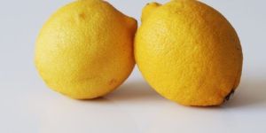 Fresh Lemon