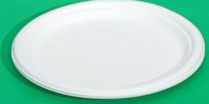 Round Paper Plate