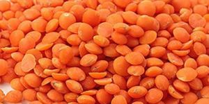 Masoor Dal