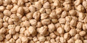 White Chickpeas