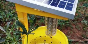 Solar Light Trap