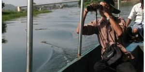 Biodiversity Survey Services