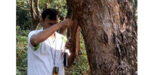 Carbon Sequestration Services