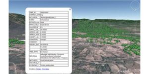 Ecological Mapping Services