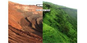 Ecological Restoration Services