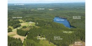 Ecosystem Assessment Services