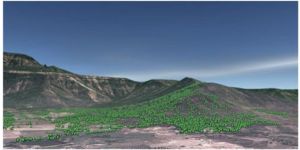 Terrain Mapping Services