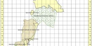 Vegetation Mapping Services