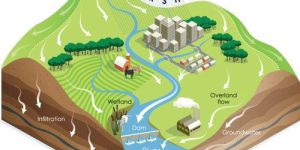 Watershed Management Services