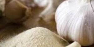 Spray Dried Garlic Powder