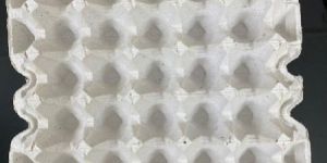Egg Tray 20 LB