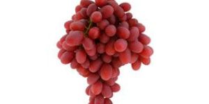 Red Globe Seedless Grapes