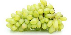 Sonaka Seedless Grapes