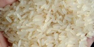 Non Basmati Rice