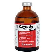 Oxytocin Injection