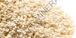 White Sesame Seed