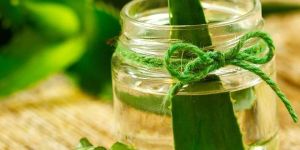 Aloe Vera And Green Tea Skin Gel