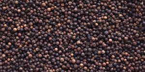 Black Pepper