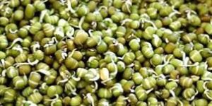 Mung Beans