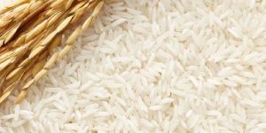 Basmati Rice