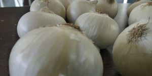 White Onion