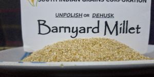 Barynard Millet Dehusk (Kuthiraivali)