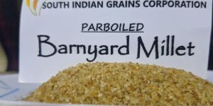 Barynard Millet Parboiled ( Kuthiraivali)