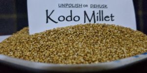 Koda Millet Dehusk (Varagu)