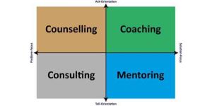 Mentoring and Coaching Consulting