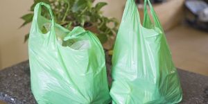 Plastic Grocery Bags