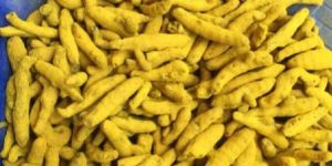 Turmeric Seeds