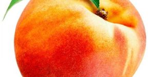 Fresh Peach
