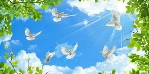 Printed PVC Ceiling Sheets