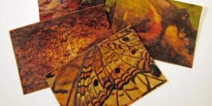 Veneer Printing Services