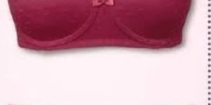 Ladies Undergarments