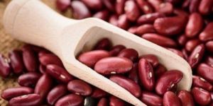 Red Kidney Beans