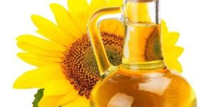 Sunflower Oil