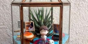 Tabletop Succulent Plant Terrarium Box