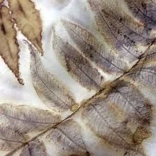 Eco Printing Services