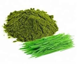 Wheat Grass Powder