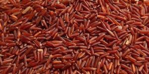 Red Rice