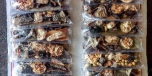 Sabut Garam Masala (Patte)