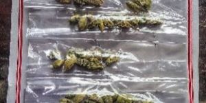 Green Cardamom (Patte)